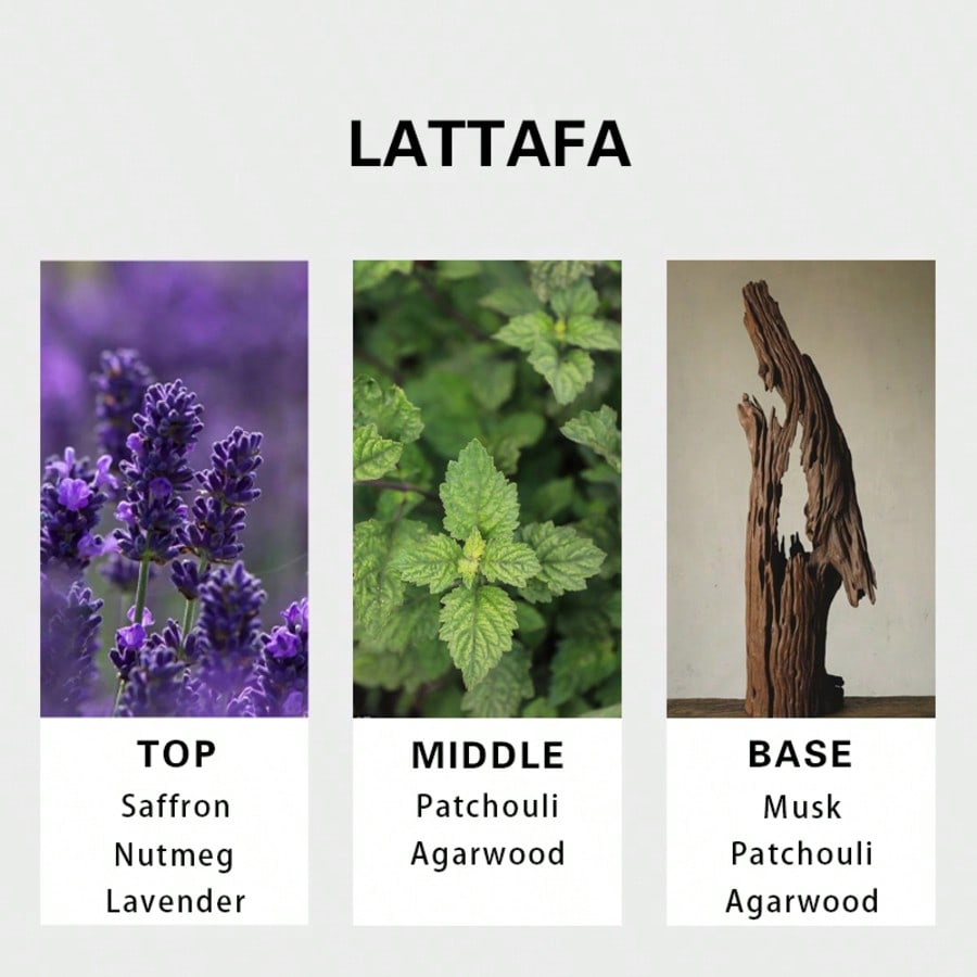 Lattafa Badee Al Oud For Glory - đánh giá và giá Perfume Scent Fragrance