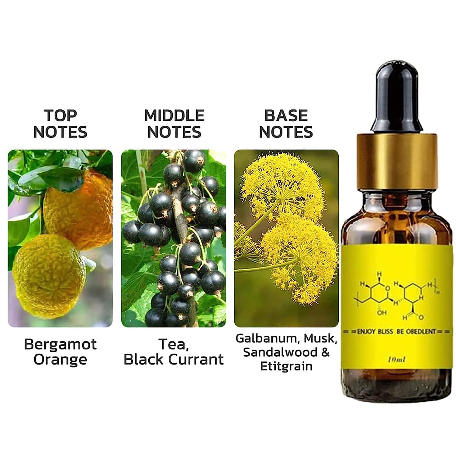 Thần Dược Cho Người Đàn Ông Th - đánh giá và giá Perfume Fragrance One