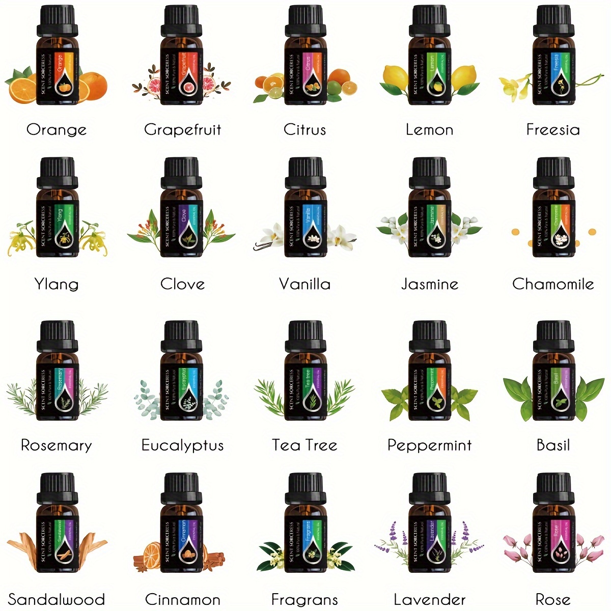 20Pcs/Set Classic Brand Essent - đánh giá và giá Perfume Fragrance Oil